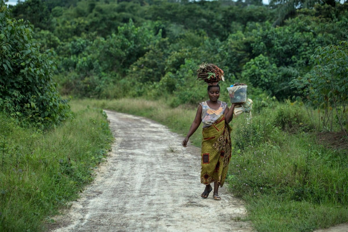 Liberia has a new plan to protect its rainforests. Can it work?