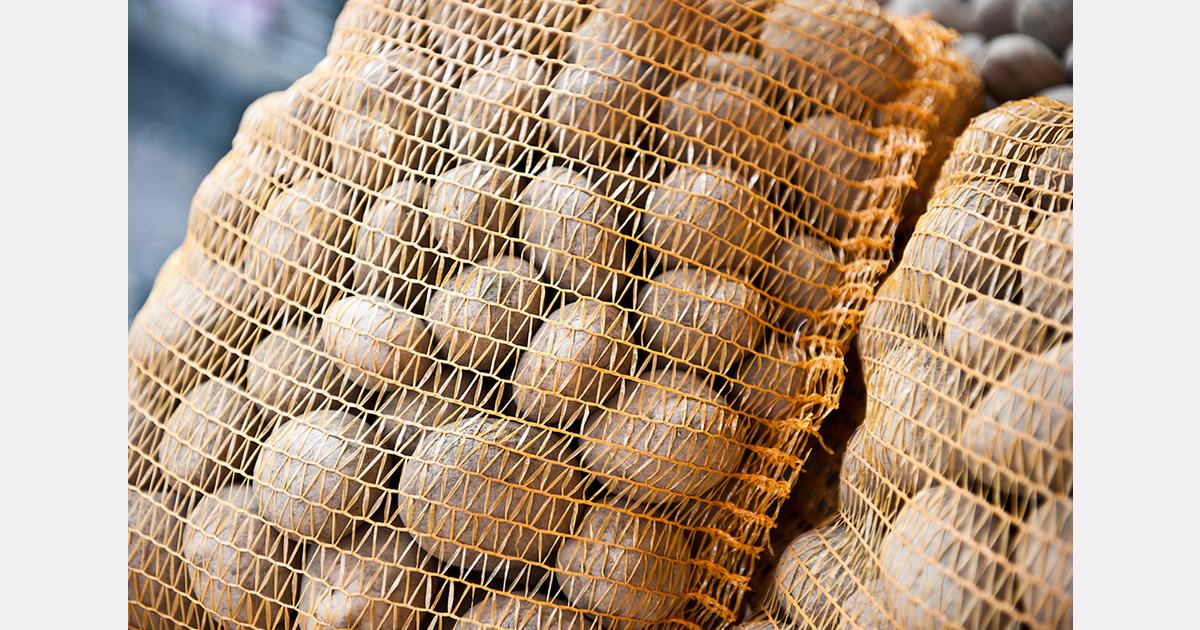 Kurdistan region begins potato exports to Liberia, expanding agricultural trade